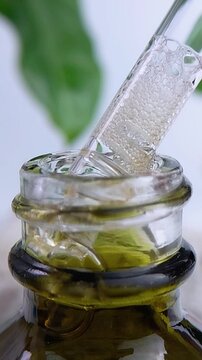 Front view of pipet filled with honey tea liquid bubbles in close up. Natural skincare serum and cosmetic ingredient texture concept for beauty.