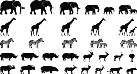 Black silhouette icons of African safari animals including elephants, giraffes, zebras, and rhinoceroses © Muntaseer