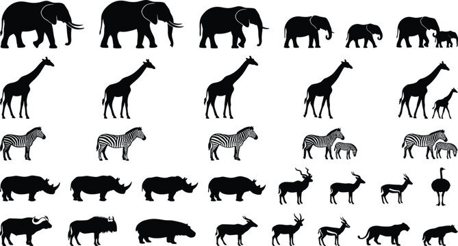 Black silhouette icons of African safari animals including elephants, giraffes, zebras, and rhinoceroses