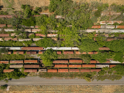 Aerial top down view of old rusty train wagons abandoned on overgrown tracks