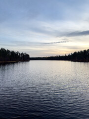 Obraz premium A peaceful lake in Sweden with gentle ripples on the water, bordered by a dark pine forest under a soft twilight sky.