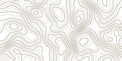Fototapeta premium Topographic map lines showing elevation changes over terrain areas