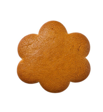 Single gingerbread cookie shaped like a flower on a white background