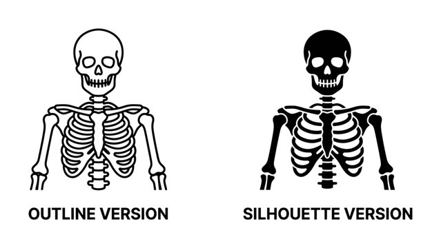 Skeleton Icon: Two stylized representations of a human skeleton, one as a clear outline and the other as a solid black silhouette, perfect for medical or educational graphics.