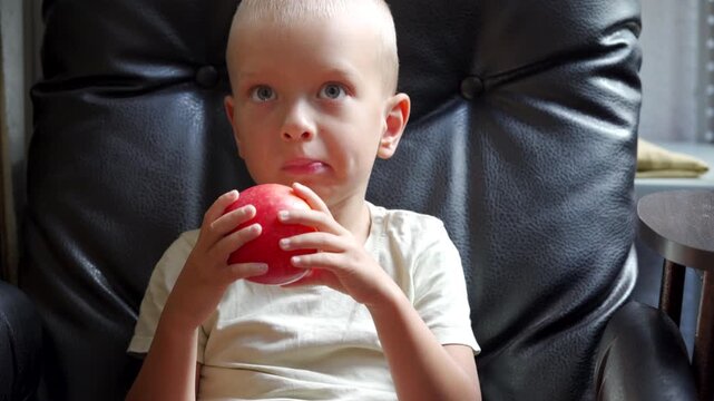An inquisitive little boy thoughtfully holds a large red apple while looking upwards. He sits comfortably inside a dark leather armchair in a cozy room.