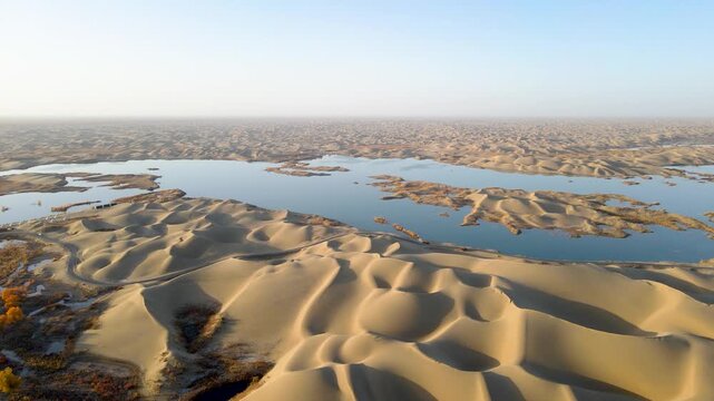 Autumn Aerial View of Desert Lake and Populus Euphratica Forest at Lop Nur Village, Yuli, Xinjiang, China