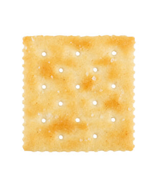 Crispy square cracker with visible salt crystals and perforations