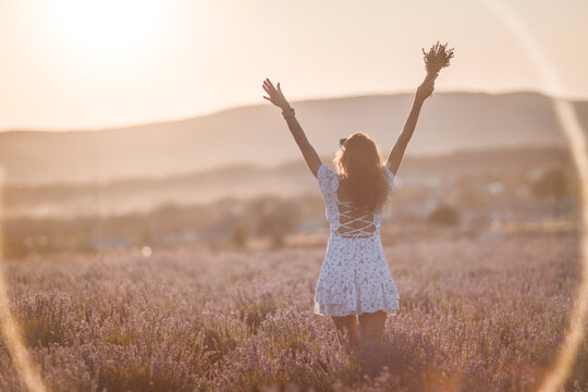 Lavender fields woman: Sunset view of celebrating harvest in lavender field at dusk.