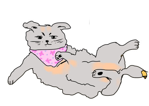 Cute grey cat lying on its back with pink floral bandana illustration isolated on transparent background.