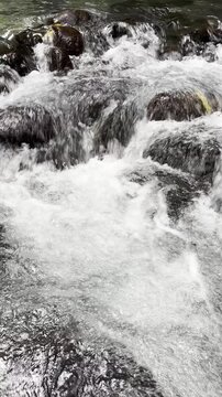 Close-up of white water rapids rushing over dark river rocks
