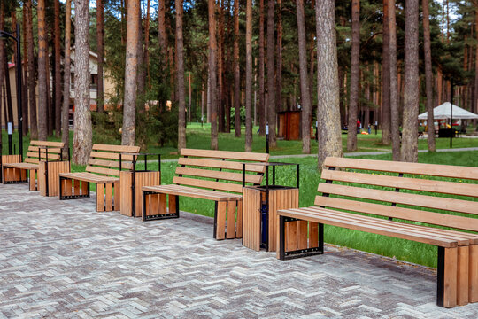 Row of wooden park benches with black metal frames on a herringbone-patterned paving, set against a backdrop of tall pine trees and a landscaped green area.