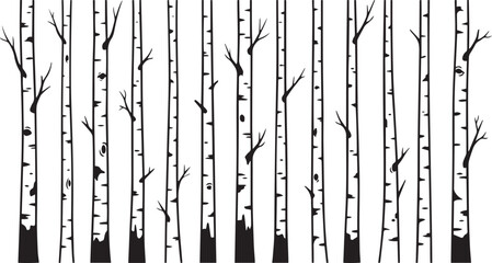 Birch Tree Trunk Silhouette Vector Set with Forest Woodland Aspen Trees Isolated on White Background . © DobirUddin