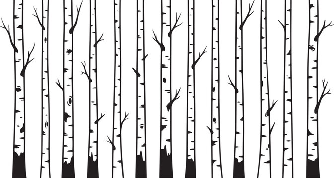 Birch Tree Trunk Silhouette Vector Set with Forest Woodland Aspen Trees Isolated on White Background .