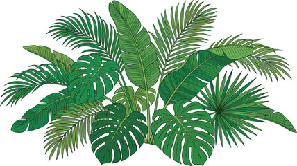 Fototapeta premium Tropical Plant Vector Illustration with Banana Monstera and Palm Leaves in Dense Green Botanical Arrangement on White Background