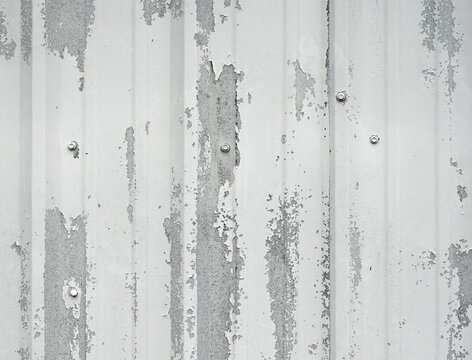 Close up horizontal view of weathered white painted corrugated tin metal siding with chipped flaking paint, bare galvanized metal and misaligned screw heads