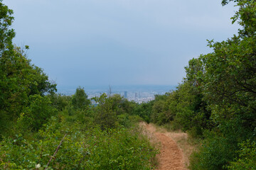Fototapeta premium Sentier de randonnée dans le Mont d'Or ouvrant une vue panoramique sur les tours de Lyon par temps orageux