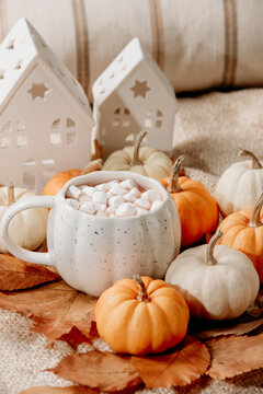 Cozy Autumn Hot Chocolate with Mini Pumpkins and Fall Decor Warm mug of hot chocolate with mini marshmallows, white pumpkins and home decor. Inviting autumn scene