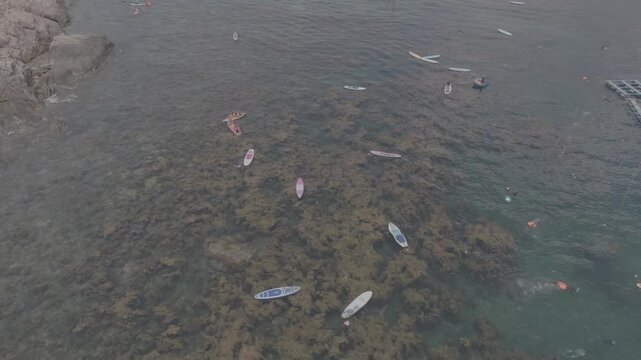 Aerial drone footage of kayaking over seaweed beds at Hon Kho, Gia Lai, Vietnam, featuring crystal-clear water, tropical coastline and an active outdoor adventure near Quy Nhon.
