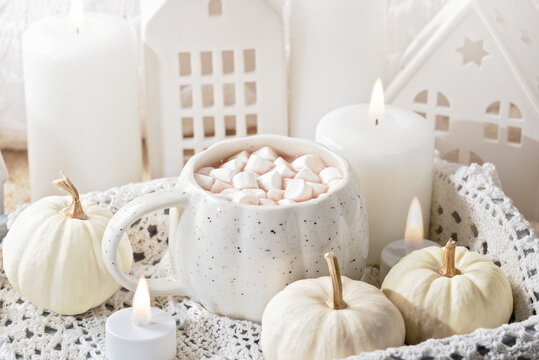 Cozy Autumn Hot Chocolate with Mini Pumpkins and Fall Decor Warm mug of hot chocolate with mini marshmallows, white pumpkins and home decor. Inviting autumn scene