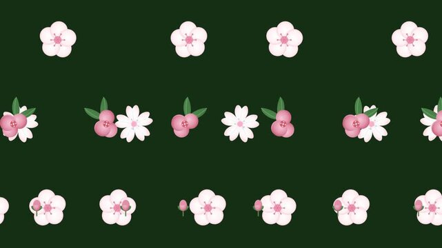 Pink cherry blossom floral pattern motion design dark background a repeating featuring delicate and white flowers on a sakura flower white spring nature