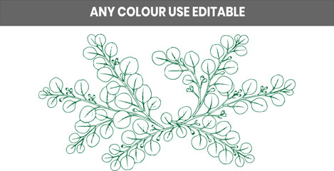 Decorative eucalyptus branch foliage line art element with eucalyptus botanical illustration minimalist © MDIMRAN