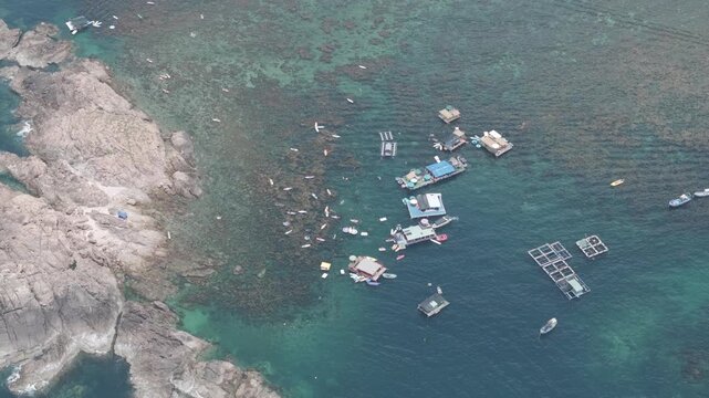 Aerial drone footage of kayaking over seaweed beds at Hon Kho, Gia Lai, Vietnam, featuring crystal-clear water, tropical coastline and an active outdoor adventure near Quy Nhon.
