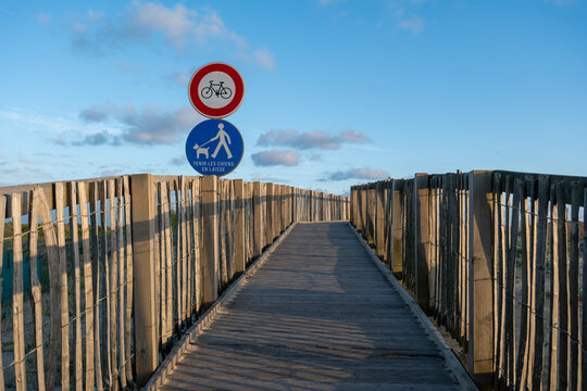 Wooden boardwalk path leading through coastal dunes toward Labenne-Oc&eacute;an in the Landes, France, with regulatory signs for bicycles and dogs on leash. Sunset lighting.