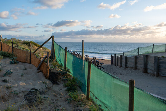 Coastal landscape view of sandy dunes, protective green netting, wooden fences, and the ocean beach at Labenne-Oc&eacute;an in the Landes, France. Sunset lighting.