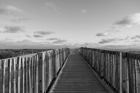 Black and white wooden boardwalk path through coastal dunes toward Labenne-Oc&eacute;an in the Landes, France, with the Pyrenees mountains visible on the horizon. Monochrome.