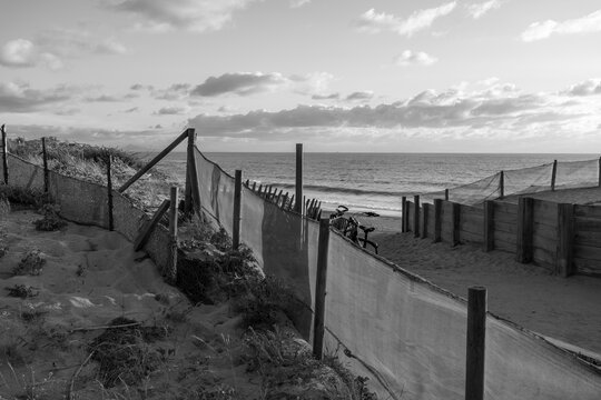 Scenic black and white view of coastal dunes, protective fences, and the ocean beach at Labenne-Oc&eacute;an in the Landes, France. Monochrome coastal landscape photography.