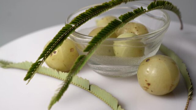 Fresh Indian Amla (Indian Gooseberry) Rich in Vitamin C, Ayurvedic Superfruit, Organic Herbal Ingredient, Natural Antioxidant, Healthy Nutrition, and Wellness