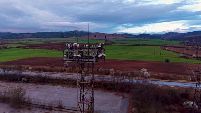 Aerial view of broad agricultural fields with green crops and freshly cultivated soil crossed by high-voltage electricity pylons and power lines, with rolling hills and rural settlements in the distan
