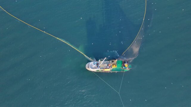 Top-down aerial view of a commercial fishing vessel deploying a large circular purse seine net across deep blue sea, enclosing a wide area of water during an active fishing operation.