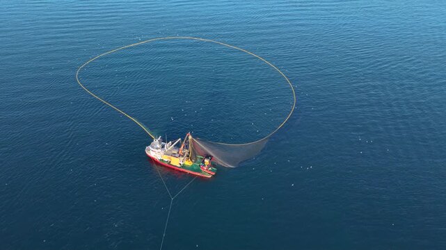 Aerial footage of a commercial fishing vessel deploying a large purse seine net in open water while a support boat assists. Seabirds gather above the operation as the circular net surrounds a school o
