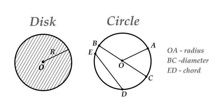 Educational vector illustration of a circle with labeled center, radius, diameter, and chord. Clean mathematical geometry diagram isolated on a white background. 