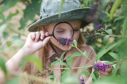 Young Nature Explorer Studying Plants in the Garden