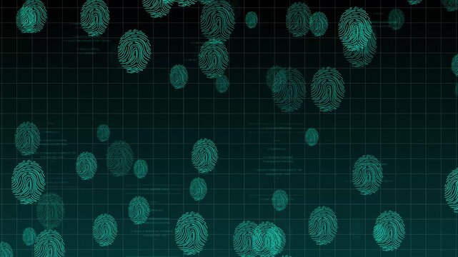 Biometric identity animation displays map out green fingerprint scan paths over dark grids. International database network operations look highly organized here.