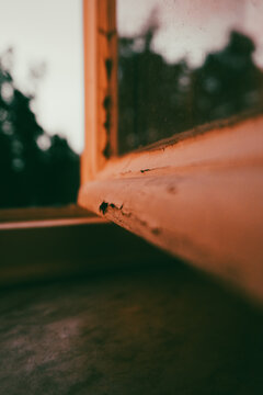 Close up of a weathered wooden window frame