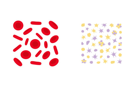 Red blood cells and platelets medical vector illustration isolated on white