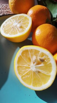 Fresh sliced lemons and whole tangerines arranged together showing juicy citrus flesh in sunlight.