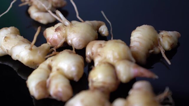 Fresh Ginger Root (Zingiber officinale) Organic Herbal Spice, Ayurvedic Medicinal Ingredient, Natural Antioxidant, Healthy Cooking, and Wellness