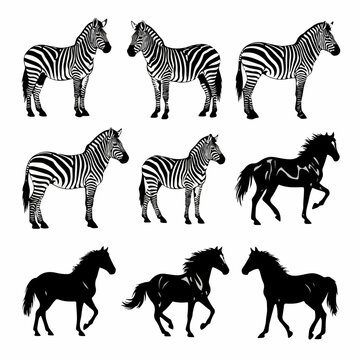 Stylish zebra silhouettes displayed over crisp white background