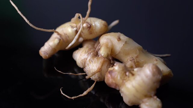 Fresh Ginger Root (Zingiber officinale) Organic Herbal Spice, Ayurvedic Medicinal Ingredient, Natural Antioxidant, Healthy Cooking, and Wellness