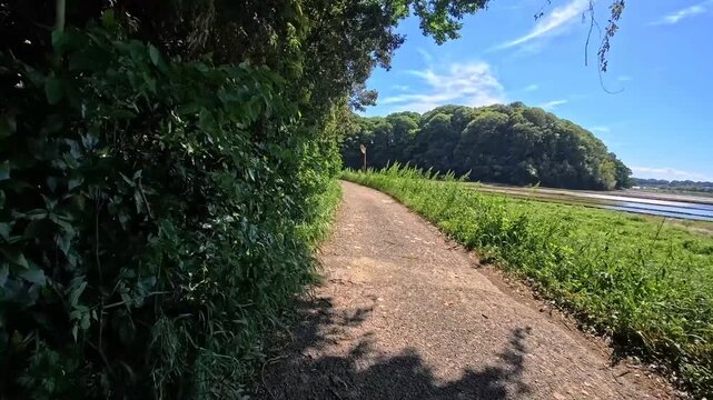 Beautiful path by Japan river with lush green trees