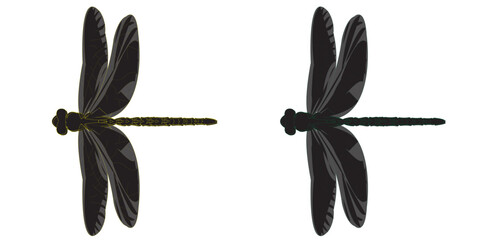 Black Dragonfly Silhouette Vector Set Isolated on White Background © Ali