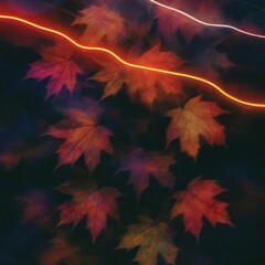 Obraz premium Vibrant autumn leaves illuminated creatively.
