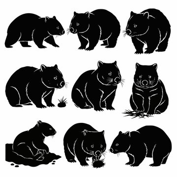 Creative wombat silhouette vectors on clean white background