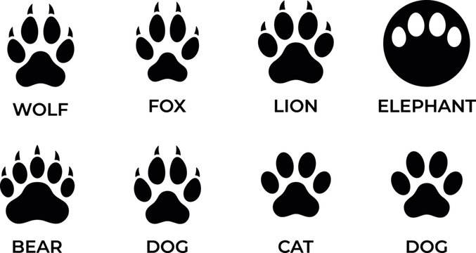 Wild and domestic animal paw print set vector illustration isolated on white background for footprint identification