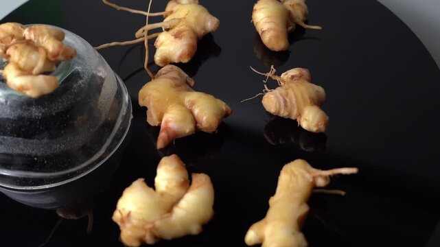 Fresh Ginger Root (Zingiber officinale) Organic Herbal Spice, Ayurvedic Medicinal Ingredient, Natural Antioxidant, Healthy Cooking, and Wellness
