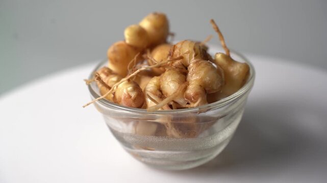 Fresh Ginger Root (Zingiber officinale) Organic Herbal Spice, Ayurvedic Medicinal Ingredient, Natural Antioxidant, Healthy Cooking, and Wellness